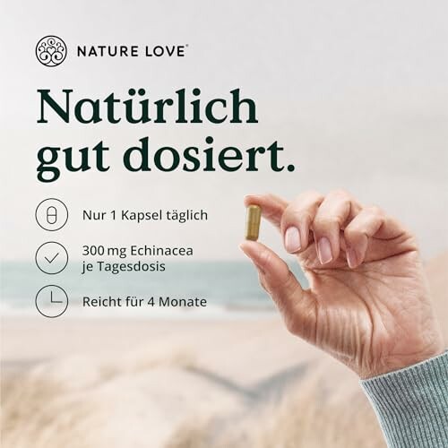 Hand hält eine Kapsel, Strandhintergrund, Text über Echinacea-Dosierung.