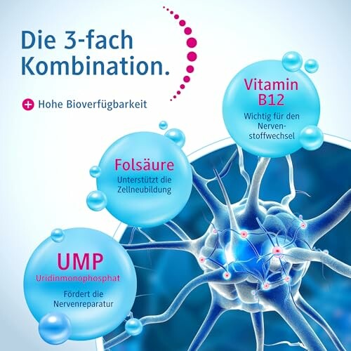 Poster über die Vorteile von Vitamin B12, Folsäure und UMP für die Nerven.