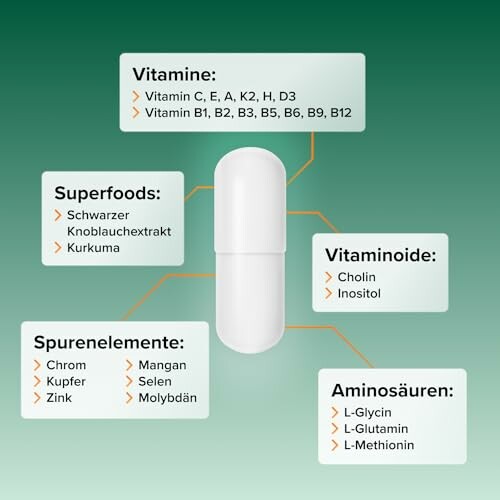 Diagramm mit Vitaminen, Superfoods, Spurenelementen, Vitaminoiden und Aminosäuren um eine Kapsel.